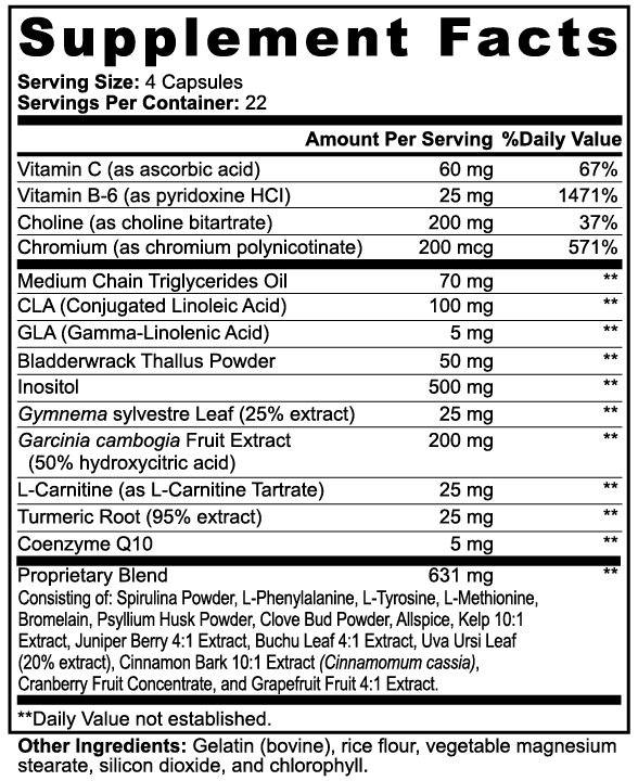 Definition Fat Burner